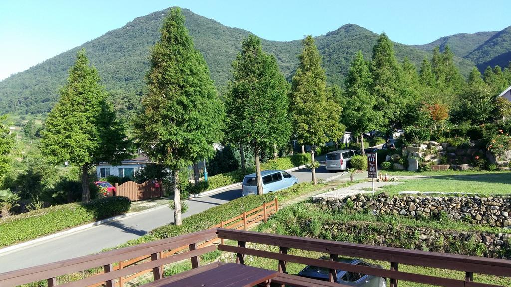 American Village Pension Manoa 南海郡 客房 照片
